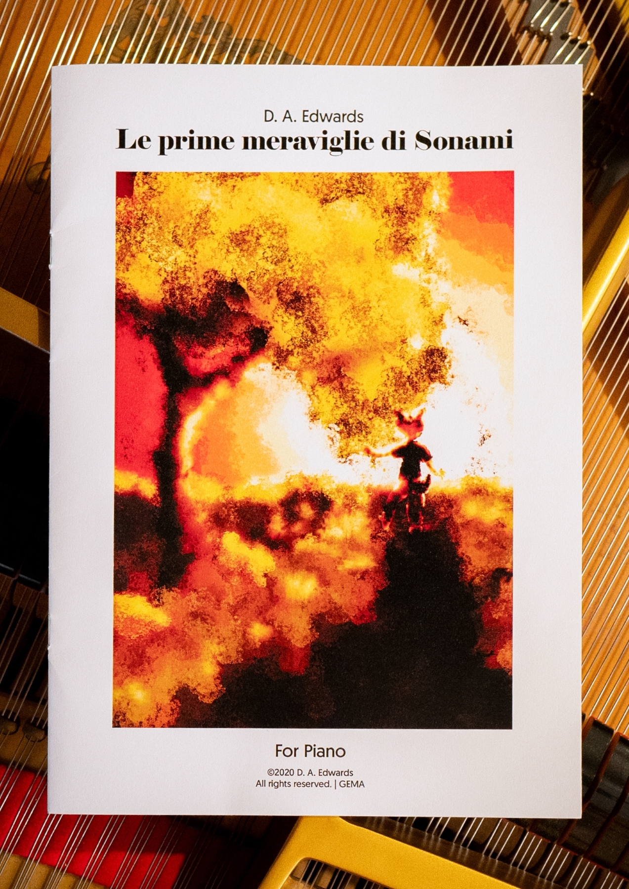 Le prime meraviglie di Sonami – Print edition